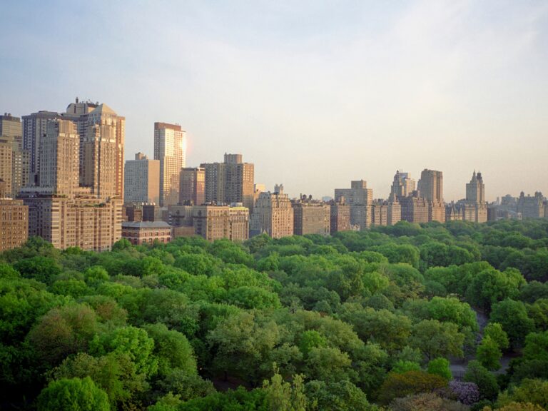 Central Park captions photo of Central Park and the New York City skyline.