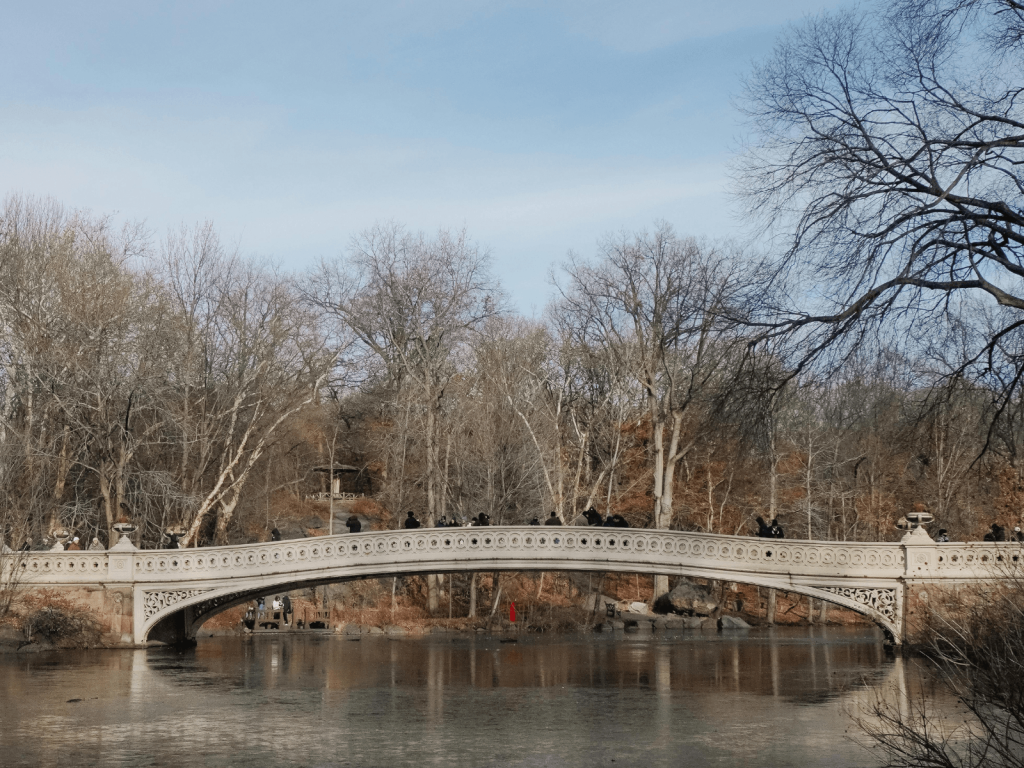 Bow Bridge stretching across the lake in Central Park, surrounded by bare winter trees under a clear blue sky.