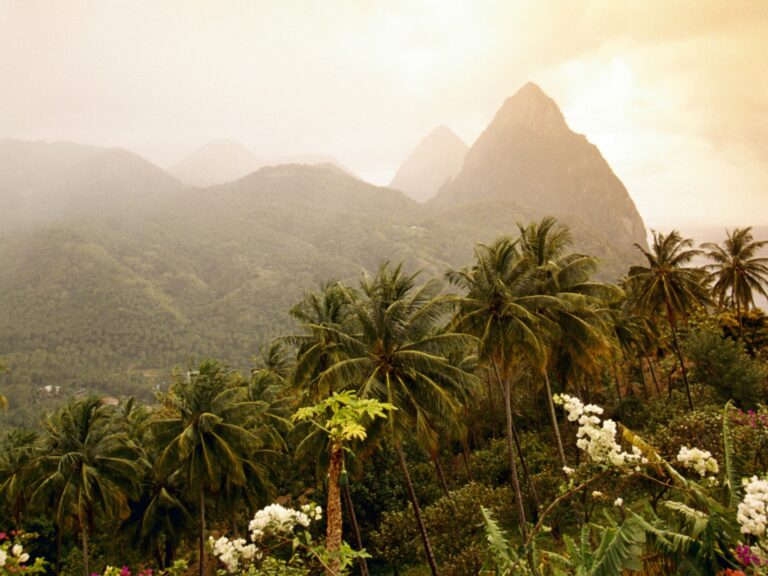 St. Lucia itinerary photo of St. Lucia palm trees and mountain.