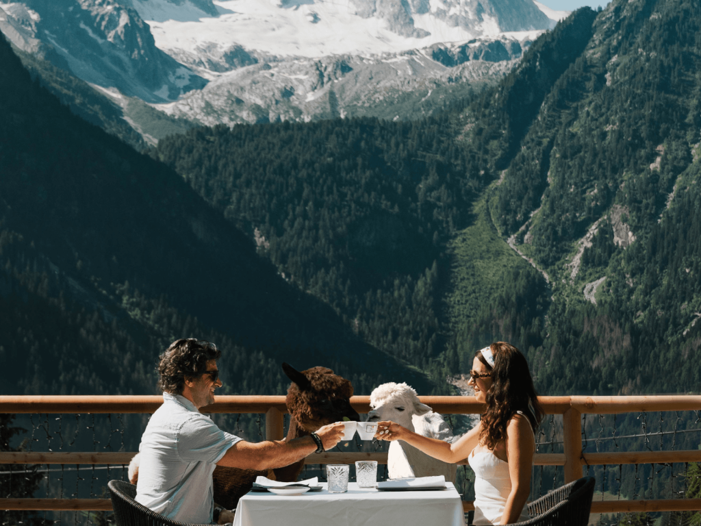 Couple enjoying drinks with alpacas at a table overlooking dramatic mountains and glaciers in the Italian Alps, perfect for Italy Instagram captions.