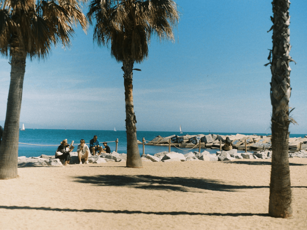 Palm trees lining a sandy Barcelona beach with people sitting near the waterfront and sailboats on the Mediterranean Sea.