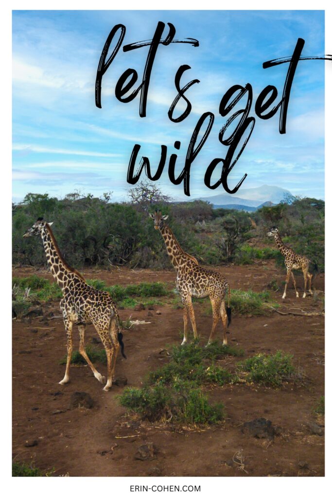 africa safari quotes