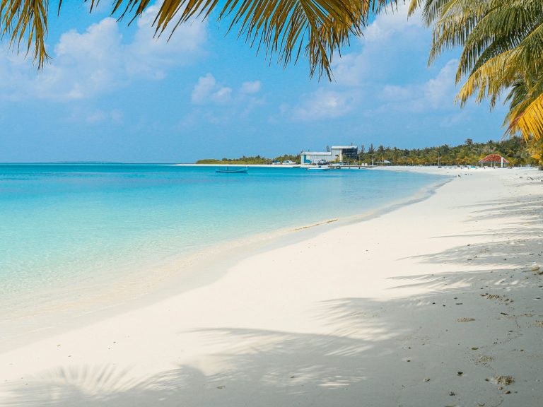 Tropical island beach with soft white sand, clear turquoise water, and palm trees along the shoreline for a post about island captions.