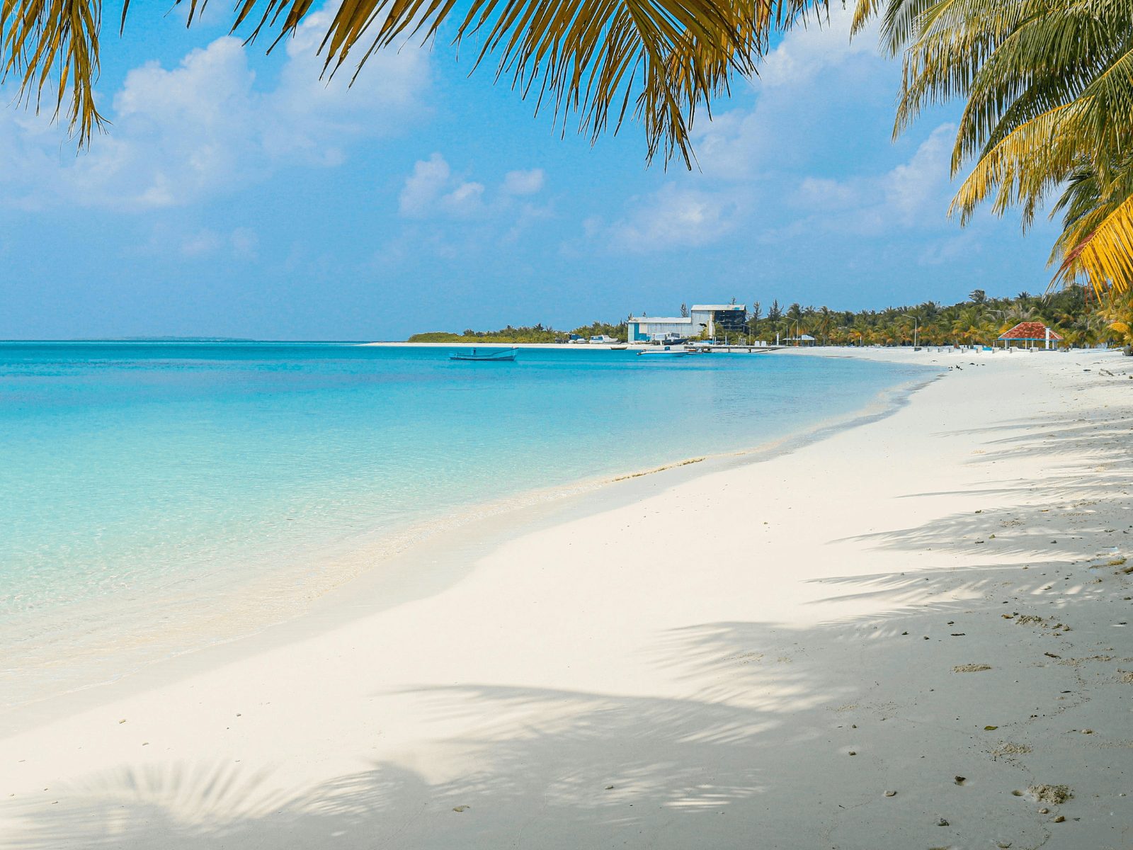 Tropical island beach with soft white sand, clear turquoise water, and palm trees along the shoreline for a post about island captions.