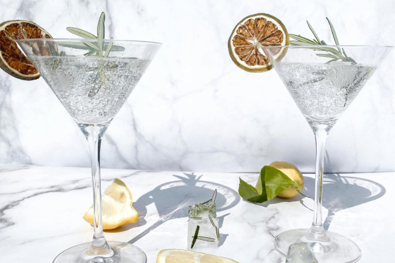 Two sparkling gin cocktails garnished with dried citrus slices and fresh rosemary, perfect for gin cocktail recipes.